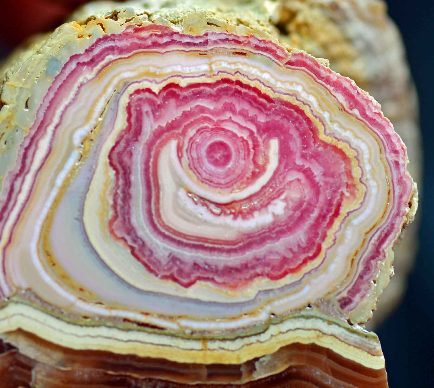 Banded Rhodochrosite Chunk, Capillitas Mine