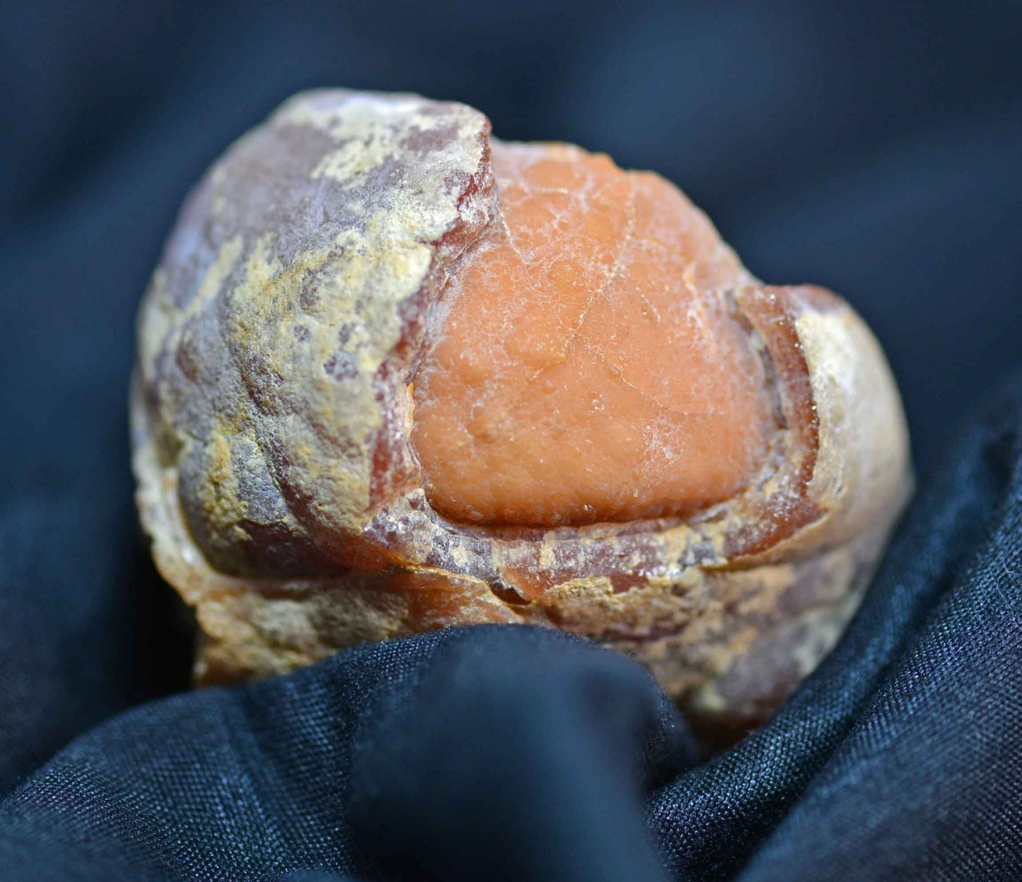 Banded Rhodochrosite Chunk, Capillitas Mine